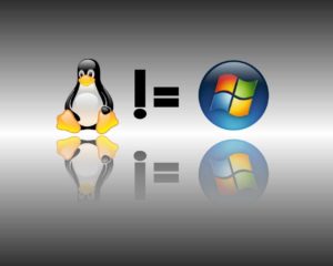 Servidor Windows e linux