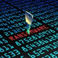 Conheça a evolução do ataque ransomware