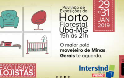 Mostra de Moveis de Ubá e seu site