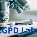 LGPD Labs - Exercício prático de adequação de uma empresa a LGPD.